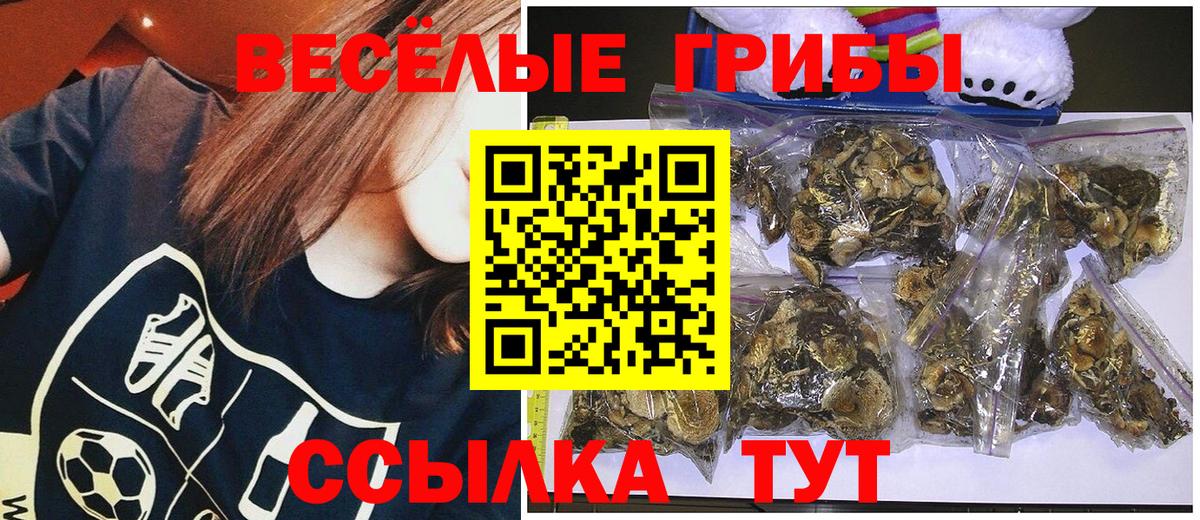 Луга  Псилоцибиновые грибы прущие грибы  Вход с VPN 